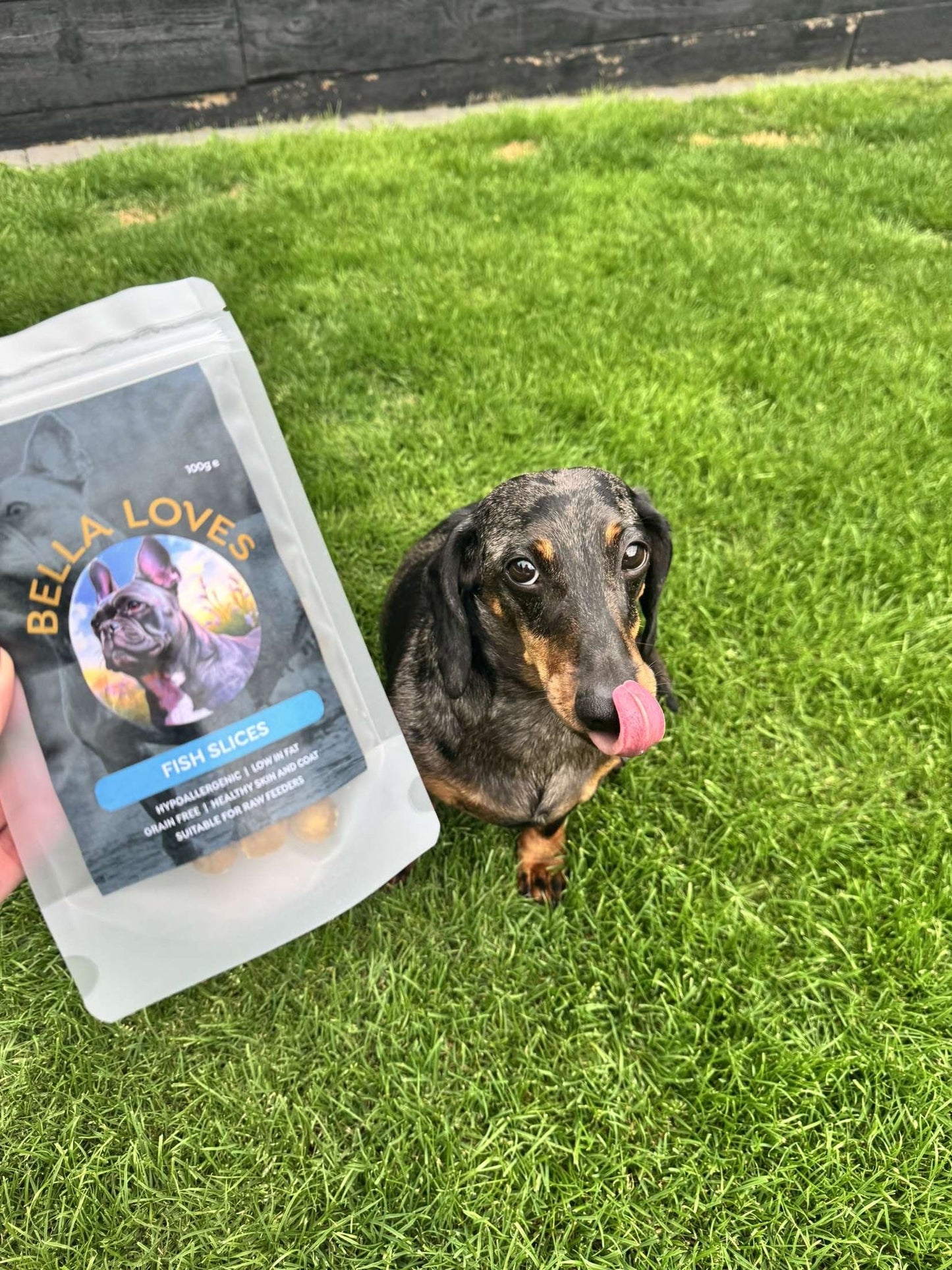 Dehydrated Fish Slices 🐟