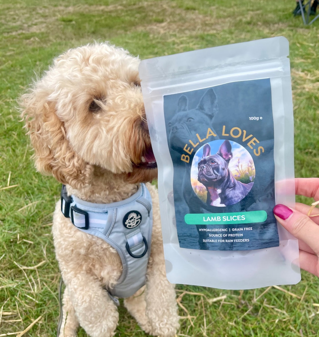 Dehydrated Lamb Slices š