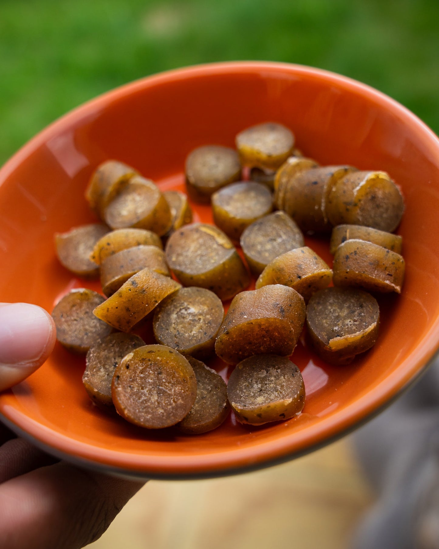 Dehydrated Fish slices